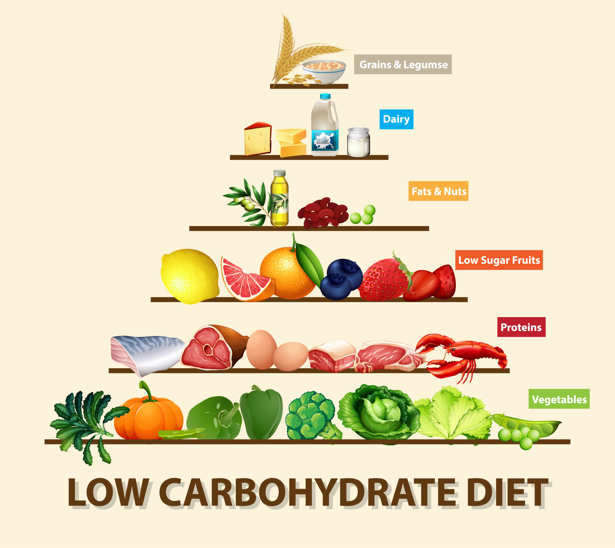 Low Carbohydrate Diet — Fad or Fact? - The Body Firm
